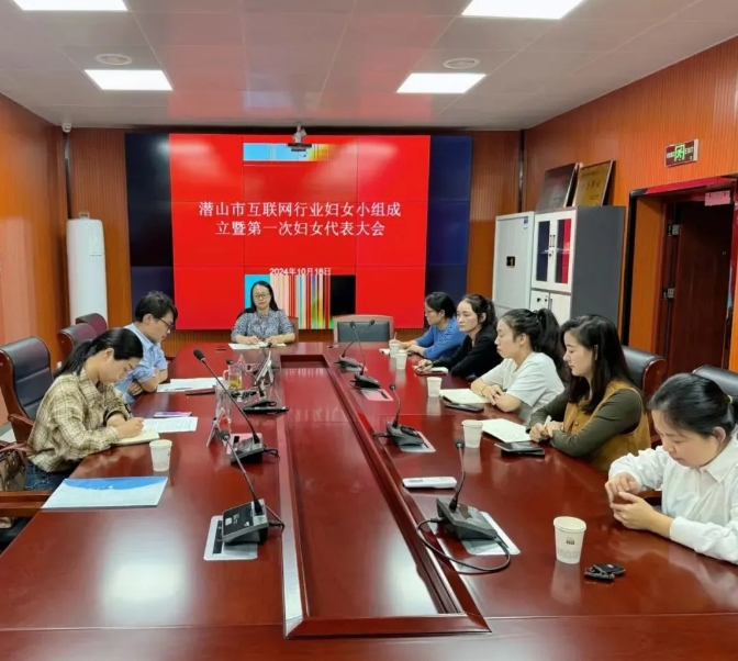 潜山市互联网行业妇女小组